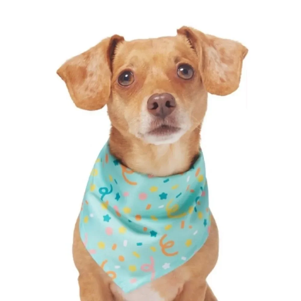 Frisco Pet Bandana Celebration Confetti Holiday Birthday M - L Dog Cat New
